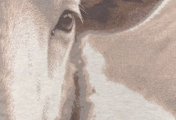 Custom Pet Picture Blanket – Merino Wool Blend