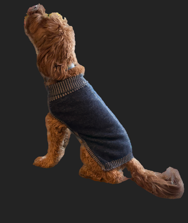 Contrast Merino Dog Jumper