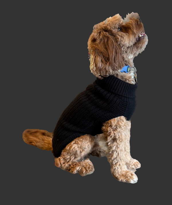 Ribbed Merino Dog Jumper