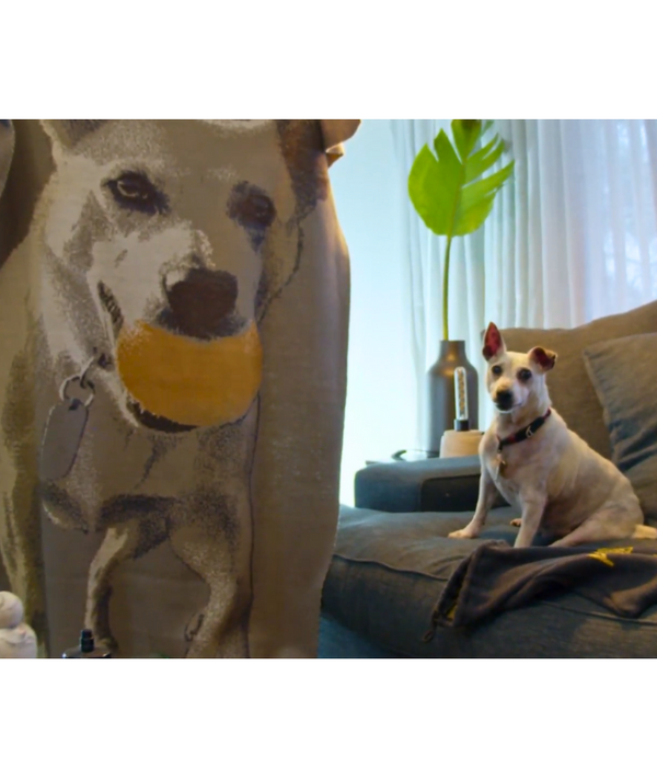 Custom Pet Picture Blanket – Merino Wool Blend