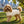 Cable Knit Dog Jumper - Merino Wool