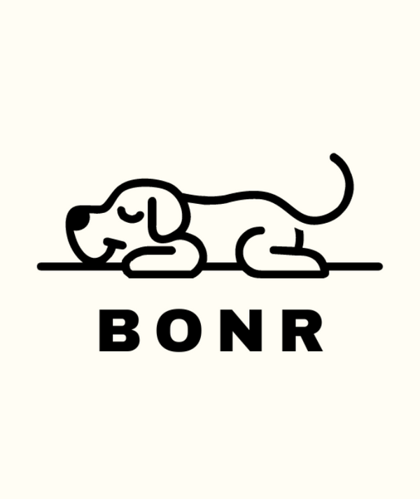 Manta para mascotas Bonr