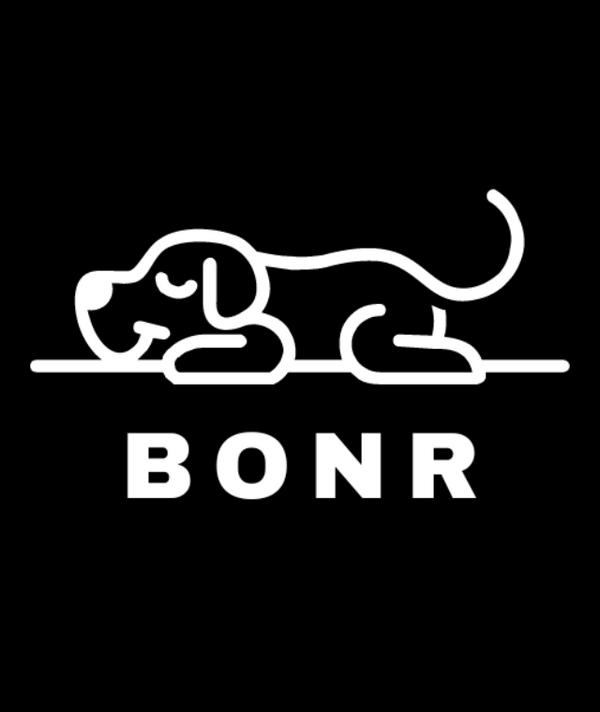 Manta para mascotas Bonr