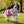 Candy Striped Dog Jumper - Merino Wool