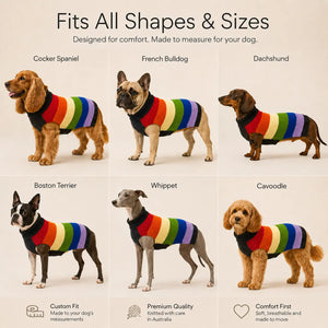 Rainbow Dog Jumper - Merino Wool